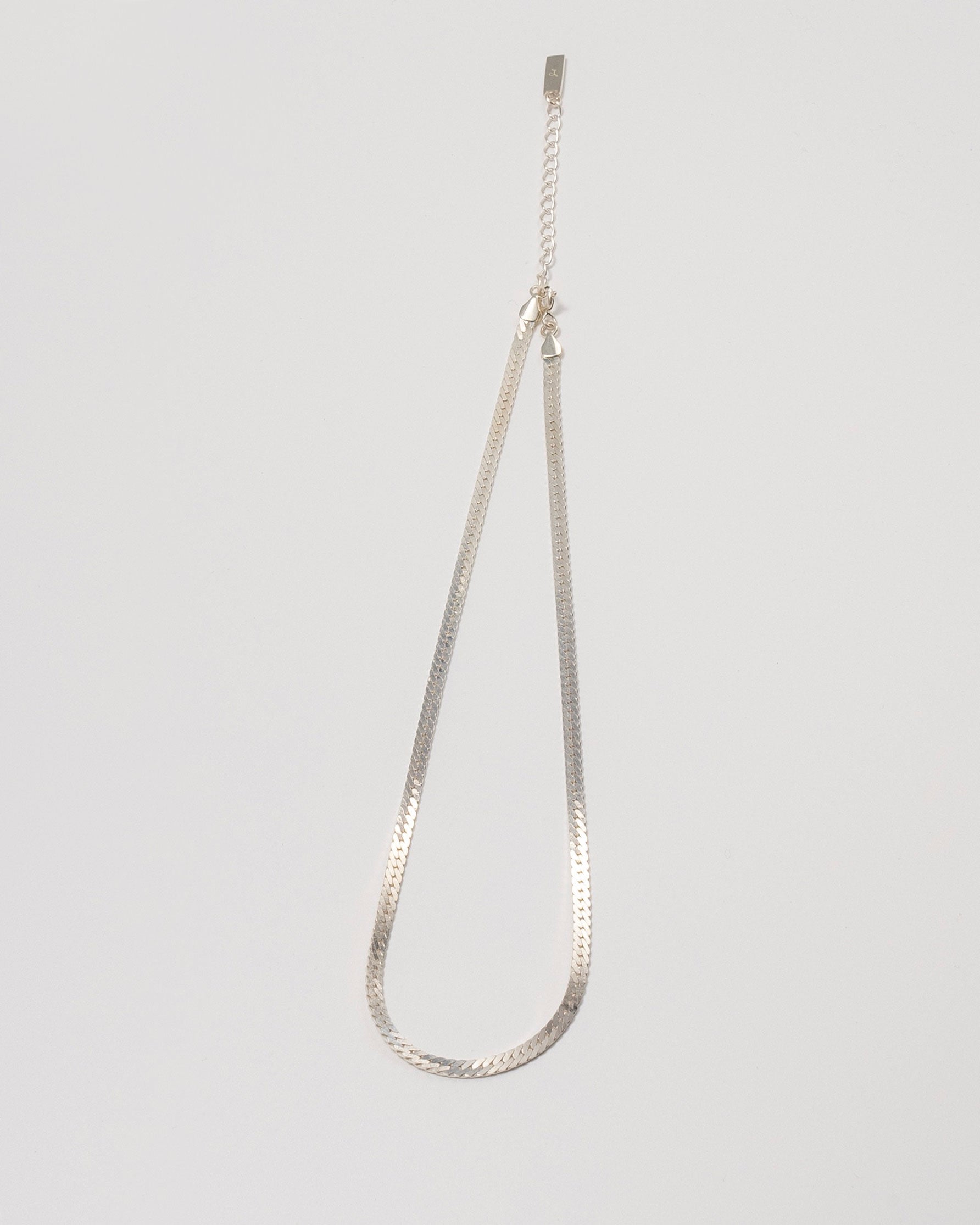 Snake_chain_necklace_SILVER.