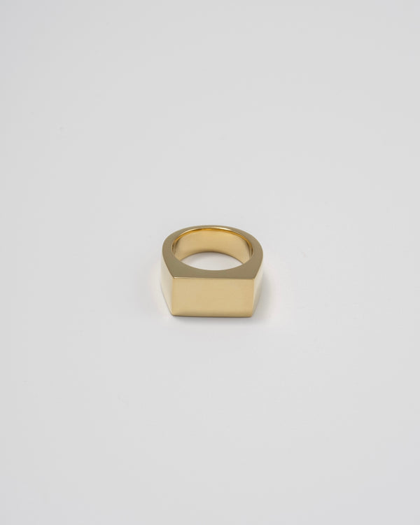 "Proto" signet ring (GOLD)